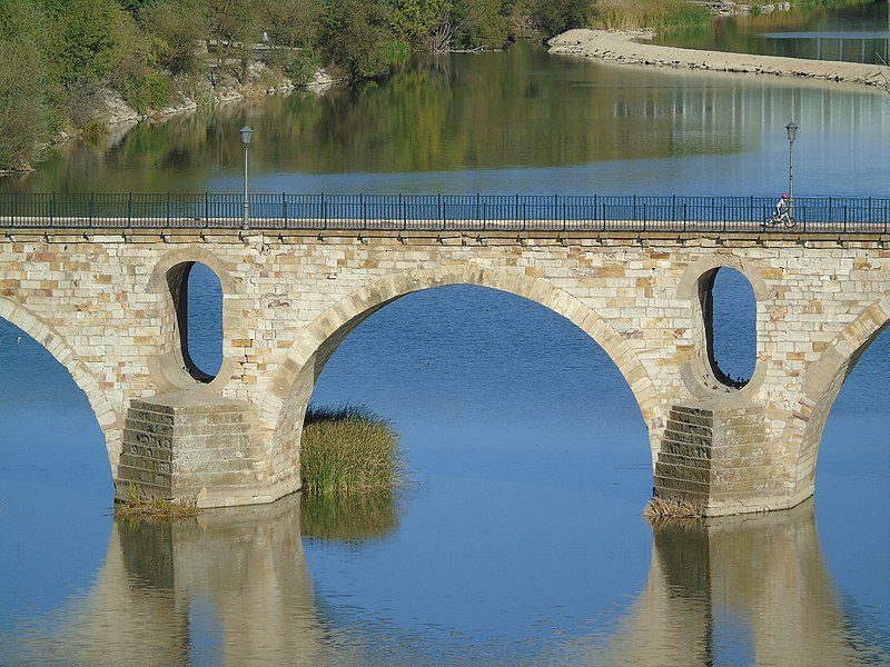 puente de piedra zamora